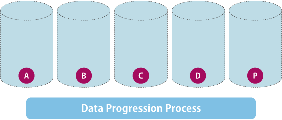 Data Progression Process